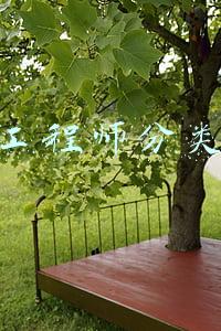 造价工程师分类(建筑工程师的分类和资格认证)