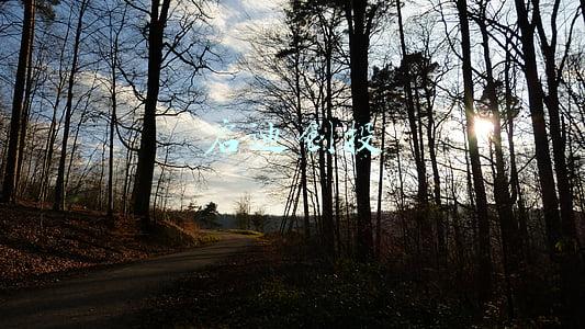 启迪创投与荷塘创投(深圳核心医疗完成天使轮融资 投资方为荷塘创投)