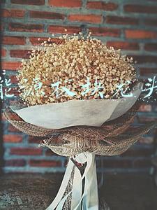 新能源板块龙头股票有哪些(新能源车概念股涨幅排行榜｜新能源车上市公司龙头股有哪些？)
