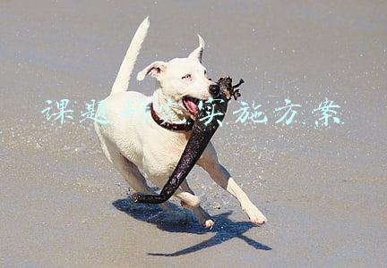 课题研究实施方案