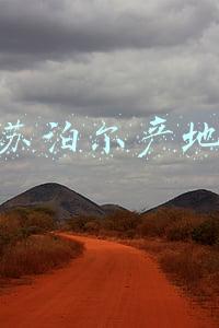 苏泊尔产地