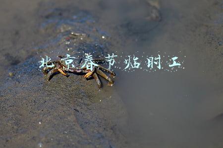 北京春节临时工