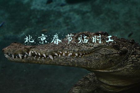 北京春节临时工