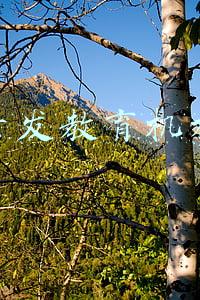 大脑开发培训加盟(为什么说加盟全脑开发品牌，选择比努力更重要)