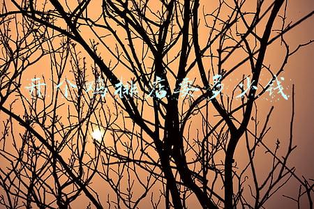 加盟鸡排店大概需要多少钱，鸡排店加盟费用要多少