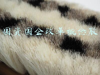 国资国企改革概念股龙头(云市场深度变革，国资云概念崛起，龙头股已翻倍（附股）)