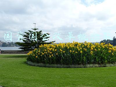 国企改革概念股一览龙头股(最全央企国资改革概念名录（建议收藏）)