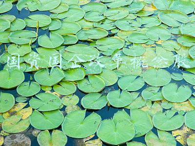 国企改革股票(国企改革三年行动方案即将出台，“双百行动”概念股潜力名单)