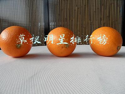 草根明星排行榜