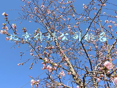 北京传媒公司排名前十(异星觉醒影视广告(AAMA)——北京著名影视广告公司排名报道)