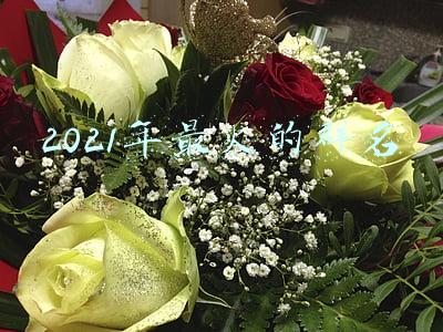 2021年最火的群名家人群(用微信传递涉密文件！浙江省通报5起违反保密法律法规典型案例)