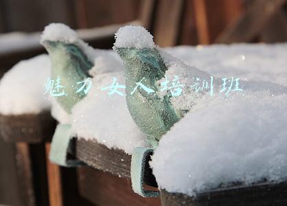 魅力女人培训班学什么(由“她”引领时尚，“经典女性人才”专题培训班开班)