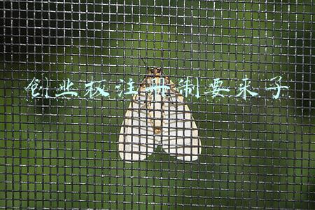 创业板注册生效(重磅！注册制来了，创业板开户门槛提高，今日正式生效！“全新”创业板有何变化？来看8问8答)