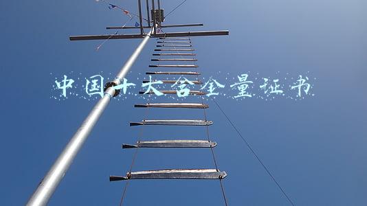 中国十大含金量证书