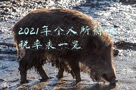 2021年个人所得税税率表一览
