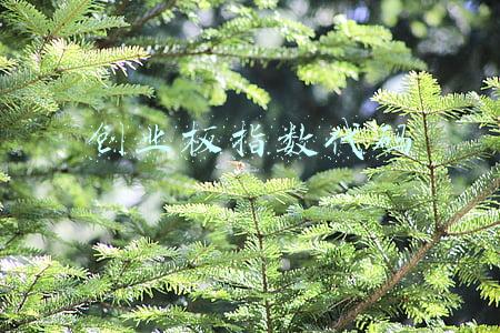 通达信创业板指数代码(惨烈！新能源又把A股带崩了)