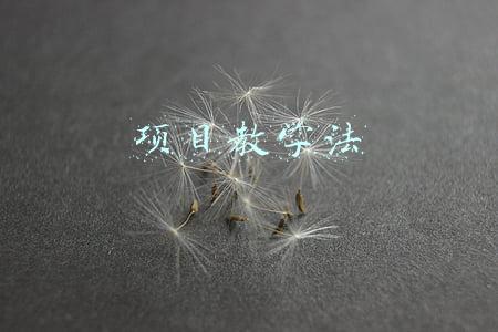 项目教学法