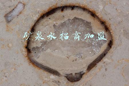 矿泉水加盟需要多少钱(共享瓶装水免费贩卖机_科饮悦瓶装水24小时自动售卖代理加盟)