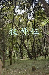 技师证有什么用(考职业技能等级证书，升职加薪、领国家补贴、还可以评定职称)