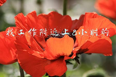 找工作附近上8小时的双休(双休、每天工作8小时，这样的工厂有人愿意进吗？员工这样回答)