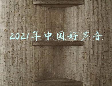2021年中国好声音谁是冠军(《2021中国好声音》巅峰之夜热度领跑，伍珂玥夺得总冠军点燃十周年梦想舞台)