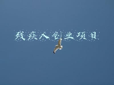 残疾人创业项目