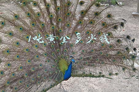 1吨黄金多少钱