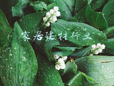 家居建材行业