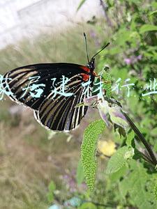 家居建材行业
