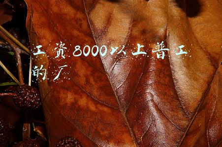 台州工资8000以上普工的厂(台州快递公司月薪8000招人，你来吗？)