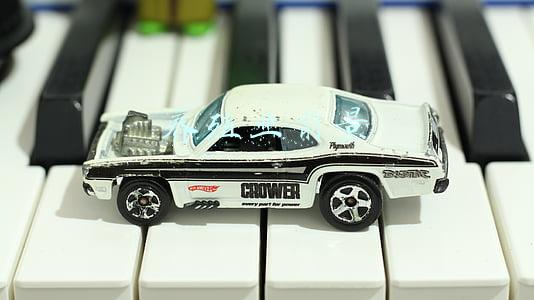 2022年养殖业前景(预测丨2022年养猪恐比今年更难，散养户需要做好“三个准备”)