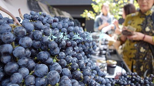 2022年养鸡养殖业前景(2021养鸡前景分析？2个细节不可忽视)