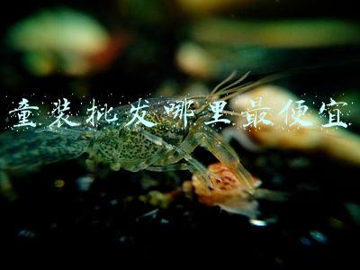 童装批发哪里最便宜还质量好啊(广州不起眼的老街，竟是中国最大童装集散地，衣服10元一件随便挑)