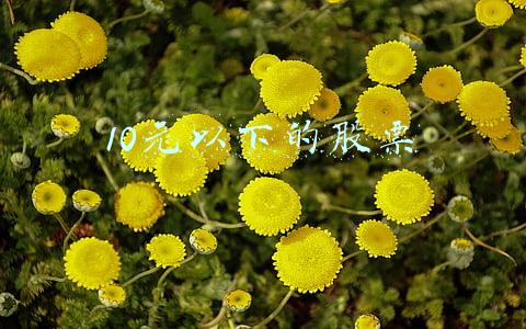 10元以下的股票值得买吗(2月10日一只新股申购，值得打吗？)