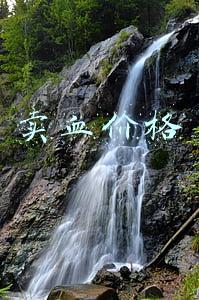 黑市卖血价格(揭秘仰光“公益”血液黑市，不同的血型不同的价)