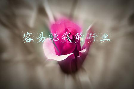 容易赚钱的网页游戏(亲测九款赚钱游戏，带你认清值不值得入坑)