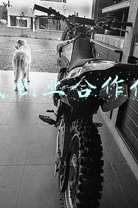 寻找创业合作伙伴的句子(创业正能量短句名言)