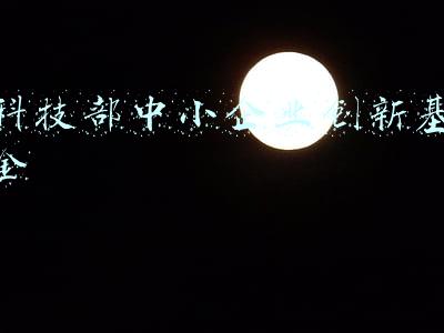 科技部中小企业创新基金办公室主任(中科协原副主席一行莅临中国未来研究会产业创新工作委员会指导)