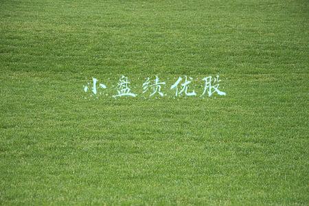 小盘绩优股一览(2022年最有潜力翻倍的5只3元以下绩优股)