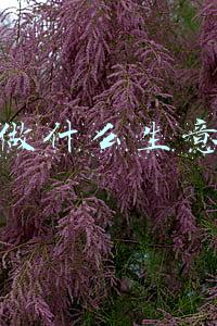 冬天做什么生意赚钱
