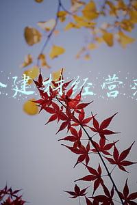 五金建材经营范围可以开路灯发票吗(站稳人民立场 走好群众路线)