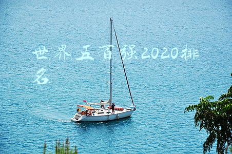 世界五百强2020排名