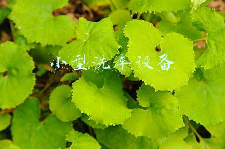 小型洗车设备厂家(洗车太贵还排队？绿田高压洗车机悟空G5，自己在家就能轻松洗车)