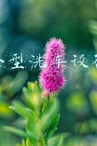 小型洗车设备全套(小型洗车机安全操作规程)