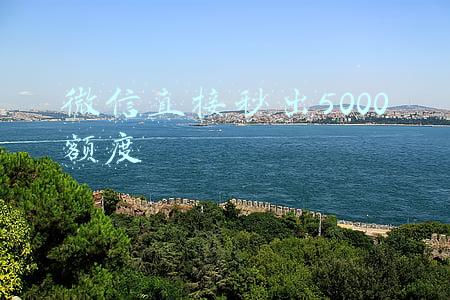 微信直接秒出5000额度塔罗(记者揭秘网红塔罗牌占卜敛财术：所谓的“大师”都是大忽悠)