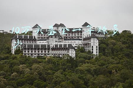 10万买基金一年赚多少股票(十年10倍-50倍的股票和基金一般都具有下面的特征)