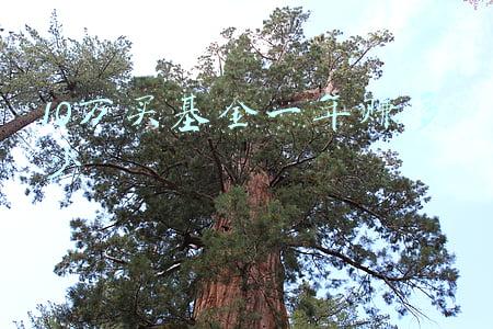 10万买基金一个月能挣多少(95后女孩月入4500，如何攒下10万)