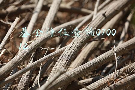 基金净值查询070012