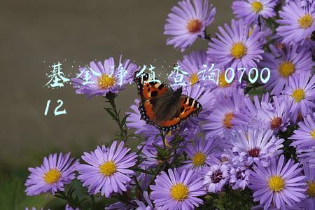 基金净值查询070012