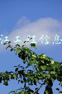 浙江工程信息网 浙江工程信息网